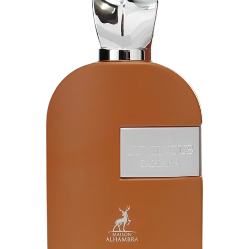 Luminous Sahara