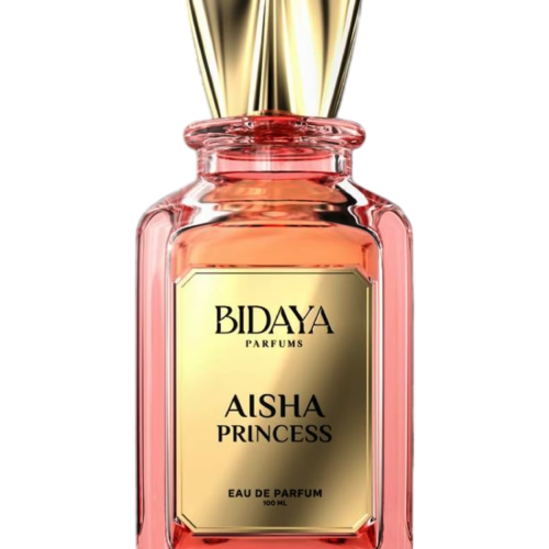 Aisha Princess
