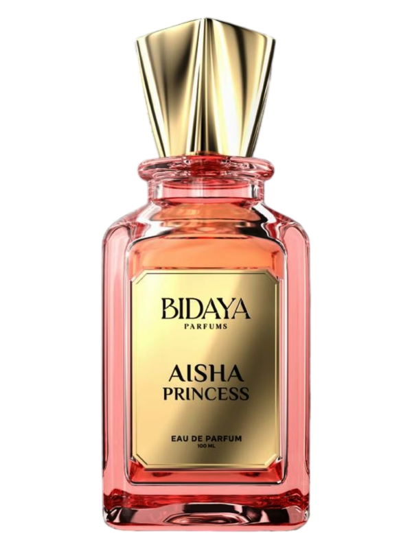 Aisha Princess