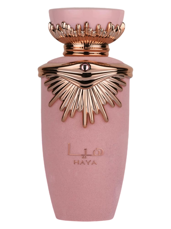 Haya