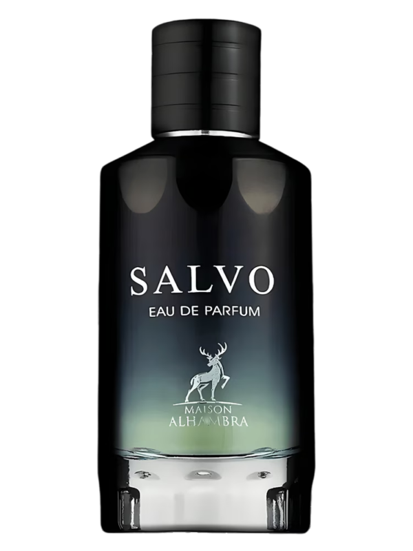 Salvo